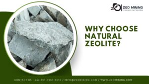 Natural zeolite mineral with porous structure for agriculture and environmental use