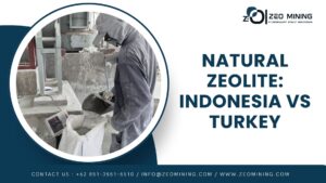 Indonesian zeolite vs Turkish zeolite