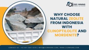 Natural zeolite from Indonesia rich in clinoptilolite and mordenite, widely used for agriculture, fertilizer, and feed applications.
