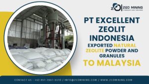 natural zeolite powder and granules for export to Malaysia