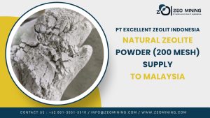 Natural Zeolite Powder 200 Mesh supplied to a manufacturer in Malaysia by PT Excellent Zeolit Indonesia.