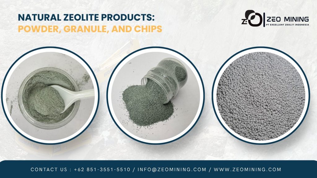 forms of natural zeolite including powder, granule, and chips produced by PT Excellent Zeolit Indonesia.